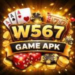 W567 Game