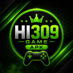 HI309 Game