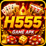H555 Game