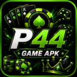 P44 Game