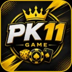 PK11 Game