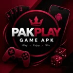 PAKPLAY Game