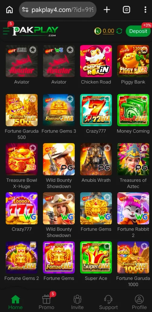 PAKPLAY Game